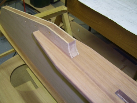Centreboard case